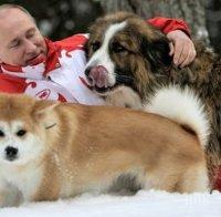 „Форин полиси“: Владимир Путин и кучетата като символ във външната му политика