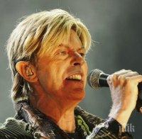 Над 3 милиона съобщения в „Туитър“ са посветени на смъртта на Дейвид Бауи
