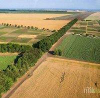 Aгроном: През този зимен сезон има нетипично високи температури, което не е благоприятно за посевите

