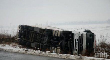 камион блъсна бездомно куче шофьорът отнесе акт