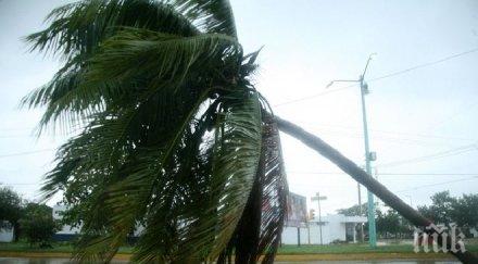 вануату обявена червена тревога заради циклона ула