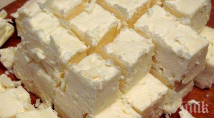 масово купуваме млечни продукти палмово масло изяли сме хил тона фалшиво сирене