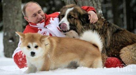 форин полиси владимир путин кучетата символ външната политика