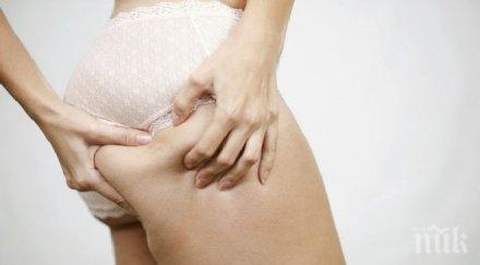 масло против целулит фермерския пазар бургас