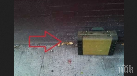 захвърлил стар куфар нейната врата отвътре чували звуци жената отворила