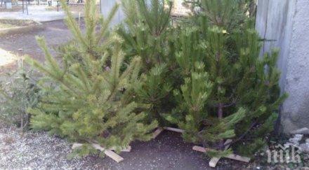 елхички дариха варненци животните зоокъта постъпленията продължават снимки