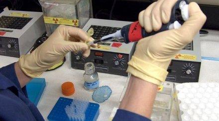 японски учени атакуват левкемията стволови клетки