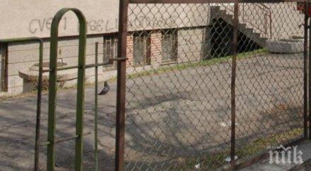 прибраха спешно варненчета приют нямало грижи тях