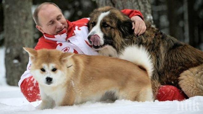 „Форин полиси“: Владимир Путин и кучетата като символ във външната му политика