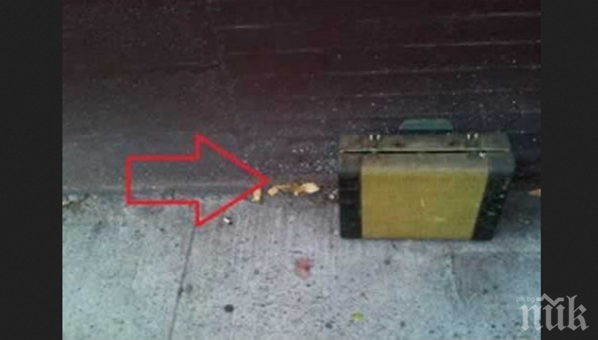 Някой захвърлил стар куфар пред нейната врата. Отвътре се чували звуци, когато жената го отворила... 