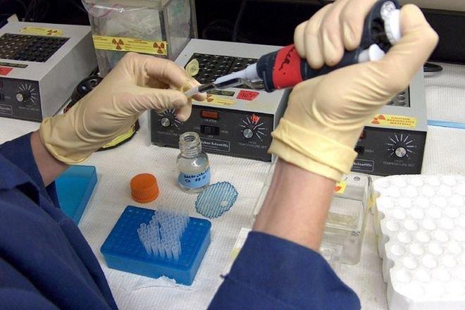 Японски учени атакуват левкемията със стволови клетки