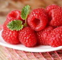 Дават 1200 евро за бране на малини в Португалия
