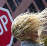 Вятърът в София вдигна ламарини и счупи клони 