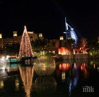 ОАЕ осъдиха терористичния акт в Истанбул
