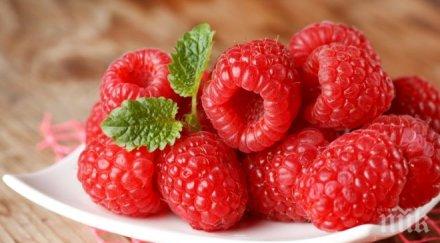 дават 1200 евро бране малини португалия