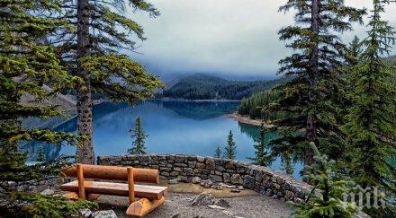 снимки вместо хиляди психолози