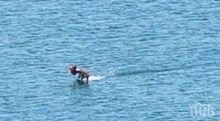 иран задържал десет американски моряци персийския залив