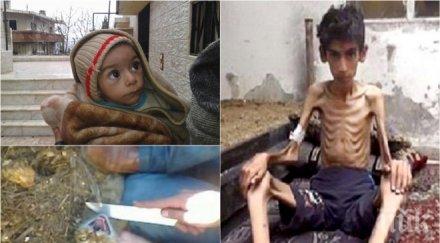 оон поиска млрд хуманитарна помощ сирия 2016