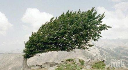 измерената скорост вятъра велико търново