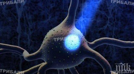 светлинна мозъчна терапия скоро прилага хората