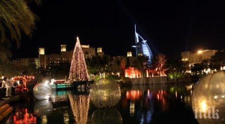 оае осъдиха терористичния акт истанбул