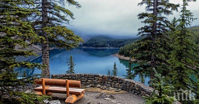 10 снимки, вместо хиляди психолози