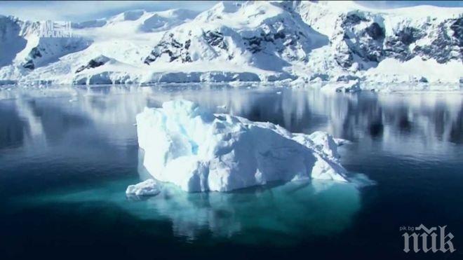 Канадски хеликоптер падна в цепнатина в леда в Антарктика, пилотът загина