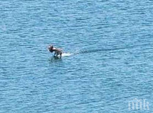 Иран е задържал десет американски моряци в Персийския залив