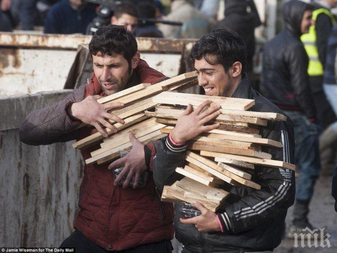 80 хиляди души са поискали убежище във Франция
