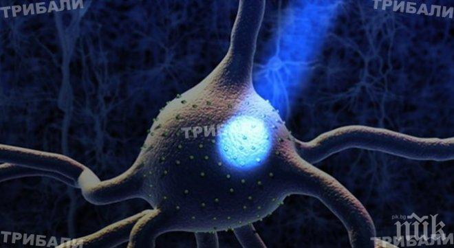 Светлинна мозъчна терапия скоро може да се прилага при хората 