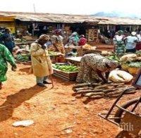 При атентата в джамия в Камерун са убити 12 души