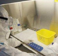 СЗО ще анонсира края на ебола епидемията 
