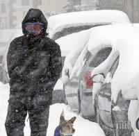 Синоптици от БАН: Ураганен вятър помита дървета и покриви! Живакът замръзва на минус 17, виелици и сняг парализират трафика!  