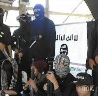 Бриго Аспарухов: „Ислямска държава” започна война с европейската цивилизация и култура