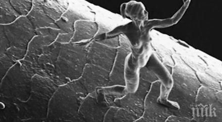 проф валентин старчев изумен съм разделят скулптура архитектура