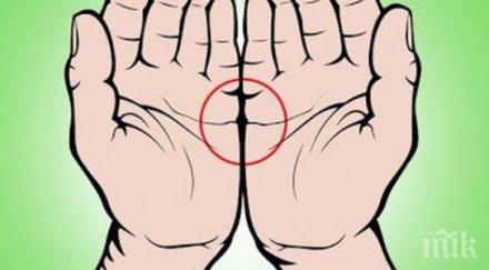 означава линиите сърцето съединяват