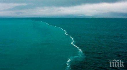 морета никога сливат отговорът уникален