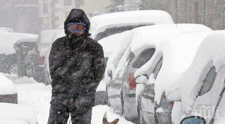 синоптици бан ураганен вятър помита дървета покриви живакът замръзва минус виелици сняг парализират трафика