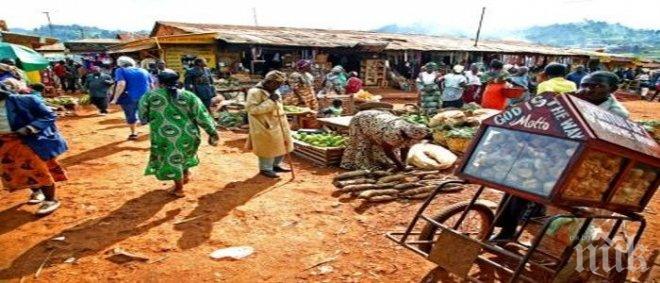 При атентата в джамия в Камерун са убити 12 души