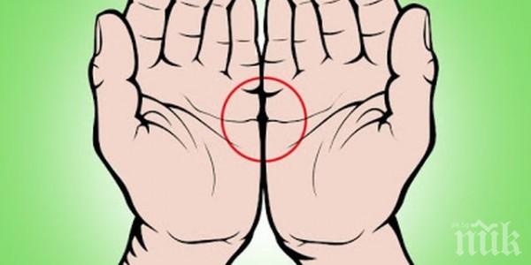 Ето какво означава, когато линиите на сърцето се съединяват!