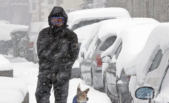 Синоптици от БАН: Ураганен вятър помита дървета и покриви! Живакът замръзва на минус 17, виелици и сняг парализират трафика!  