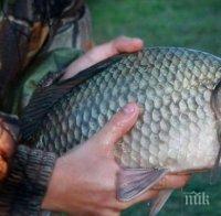 Спряха бракониери край Белослав