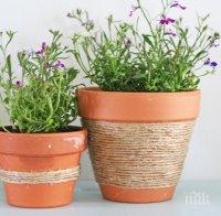 По- малко химия в растителната защита от 2017 г.