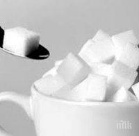 Откриха ензим, който отстранява излишната захар от тялото