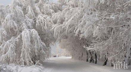 синоптици бан тревожно българия става сибир неделя метрови преспи виелици вижте цялата снежна картина