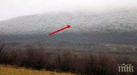 видиш нещо подобно бягай надалеч без обръщаш