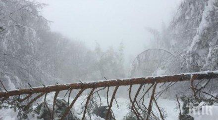 апи възможно снегът блокира третокласната пътна мрежа област плевен