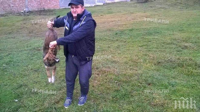 Тикнаха в ареста убиец на куче във Врачанско