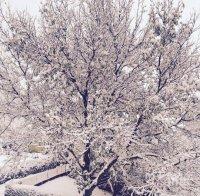 Ударената от мълния къща край Монтана вече е затрупана от сняг