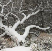 Тежка обстановка в община Шумен, спират почистването заради силен вятър